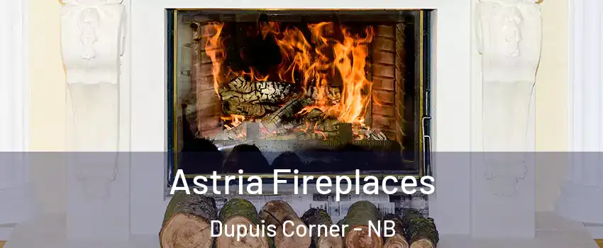  Astria Fireplaces Dupuis Corner - NB