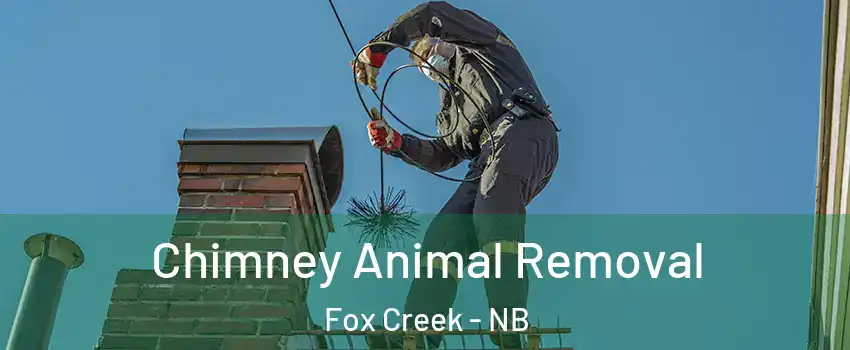 Chimney Animal Removal Fox Creek - NB
