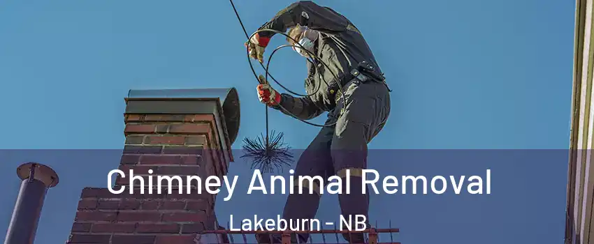 Chimney Animal Removal Lakeburn - NB