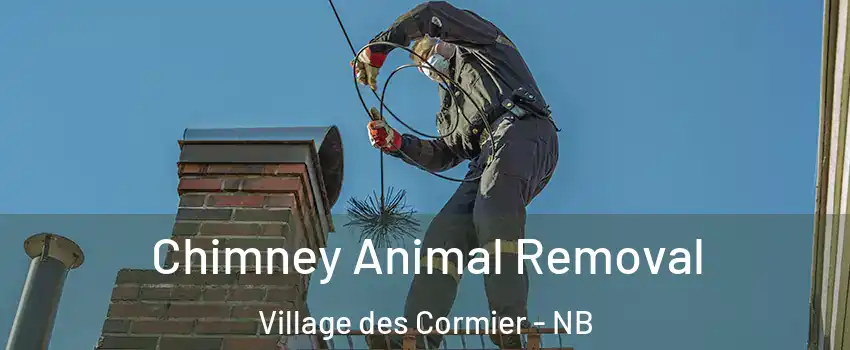 Chimney Animal Removal Village des Cormier - NB