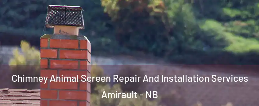  Chimney Animal Screen Repair And Installation Services Amirault - NB