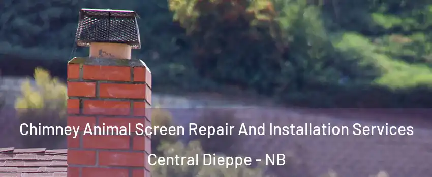  Chimney Animal Screen Repair And Installation Services Central Dieppe - NB