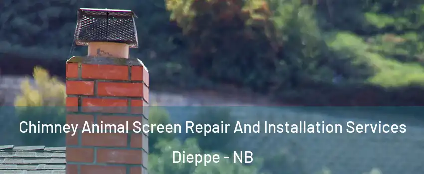  Chimney Animal Screen Repair And Installation Services Dieppe - NB