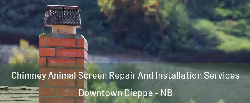  Chimney Animal Screen Repair And Installation Services Downtown Dieppe - NB