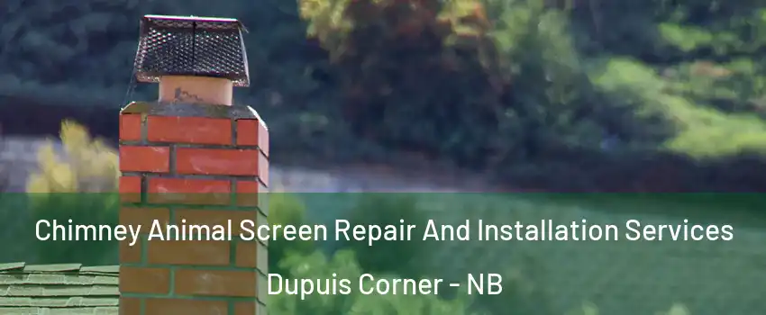  Chimney Animal Screen Repair And Installation Services Dupuis Corner - NB