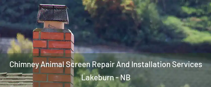  Chimney Animal Screen Repair And Installation Services Lakeburn - NB