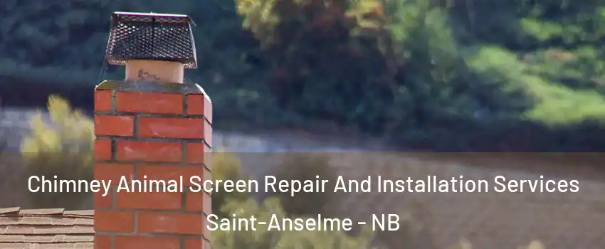 Chimney Animal Screen Repair And Installation Services Saint-Anselme - NB