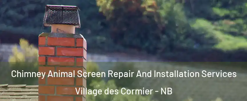  Chimney Animal Screen Repair And Installation Services Village des Cormier - NB