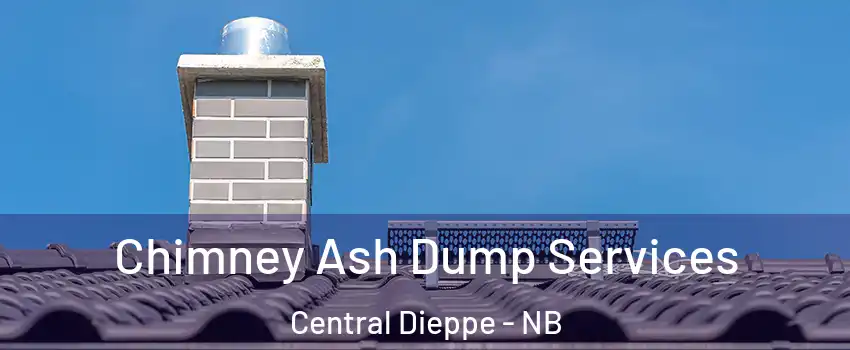  Chimney Ash Dump Services Central Dieppe - NB