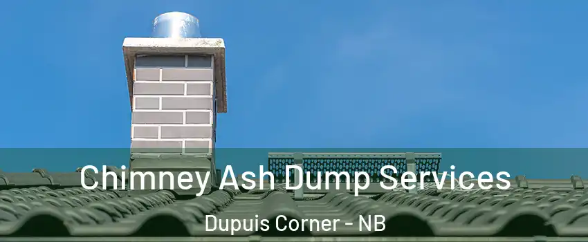  Chimney Ash Dump Services Dupuis Corner - NB