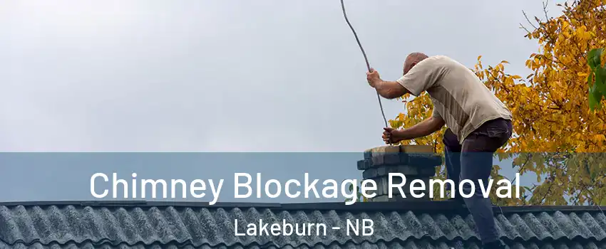  Chimney Blockage Removal Lakeburn - NB