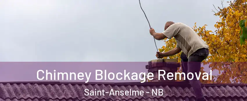  Chimney Blockage Removal Saint-Anselme - NB