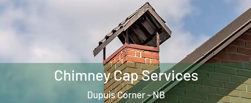  Chimney Cap Services Dupuis Corner - NB