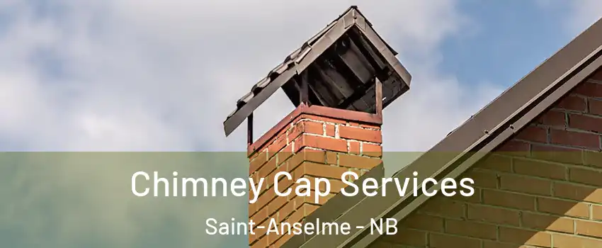  Chimney Cap Services Saint-Anselme - NB