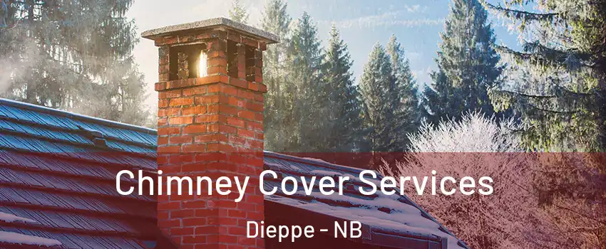  Chimney Cover Services Dieppe - NB