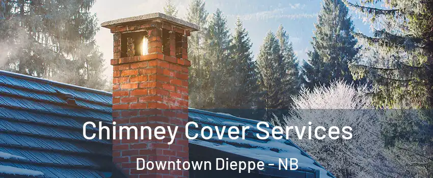  Chimney Cover Services Downtown Dieppe - NB