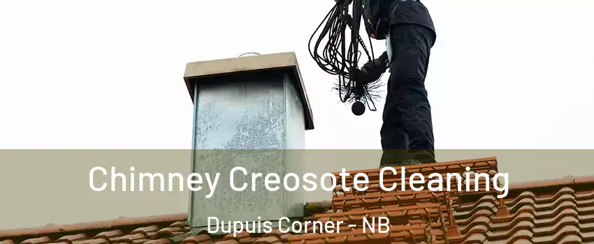  Chimney Creosote Cleaning Dupuis Corner - NB