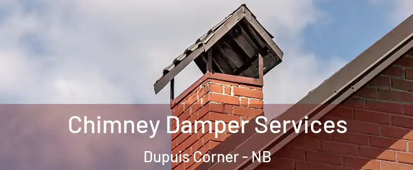  Chimney Damper Services Dupuis Corner - NB