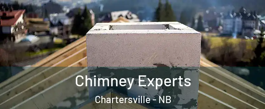 Chimney Experts Chartersville - NB