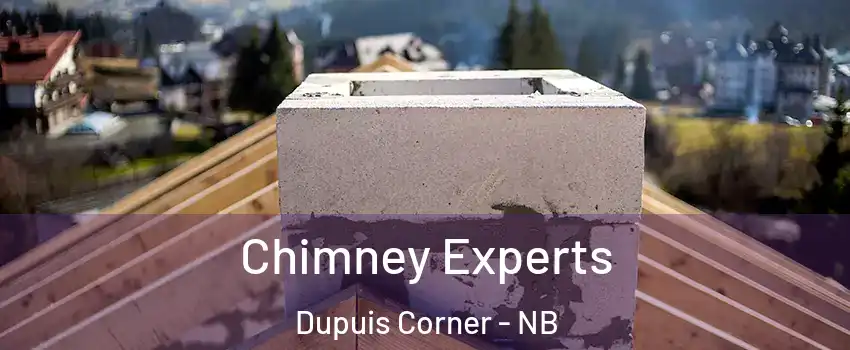 Chimney Experts Dupuis Corner - NB