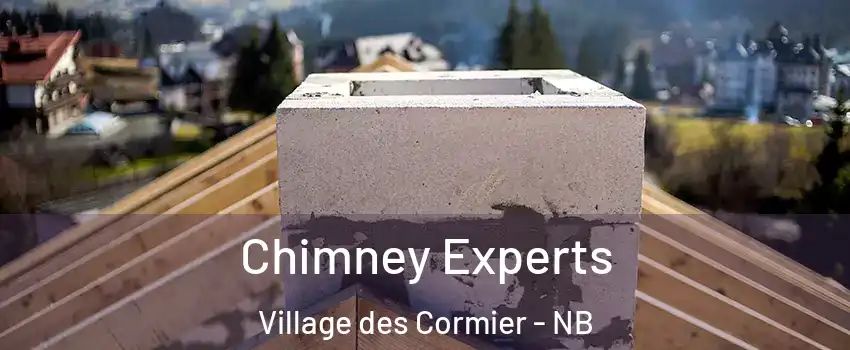 Chimney Experts Village des Cormier - NB