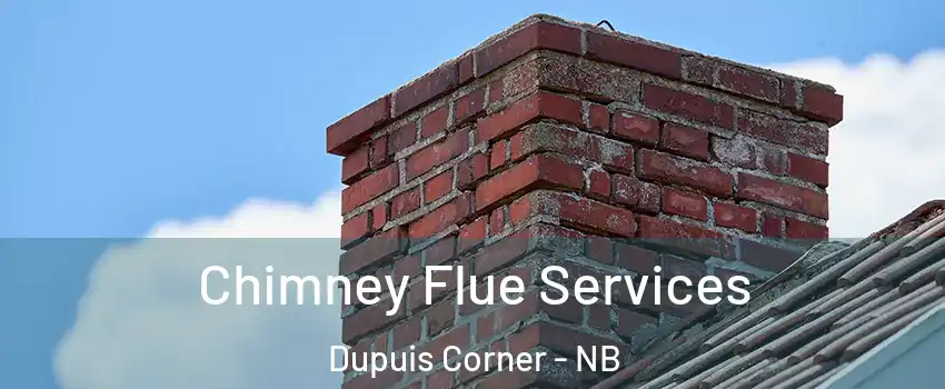 Chimney Flue Services Dupuis Corner - NB