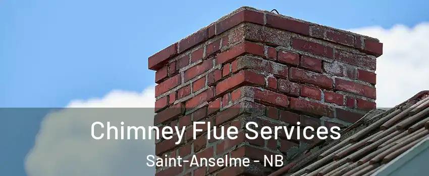  Chimney Flue Services Saint-Anselme - NB