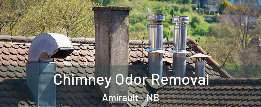  Chimney Odor Removal Amirault - NB
