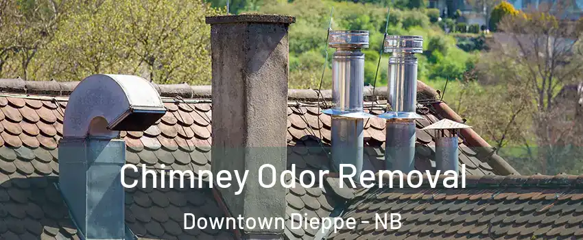  Chimney Odor Removal Downtown Dieppe - NB