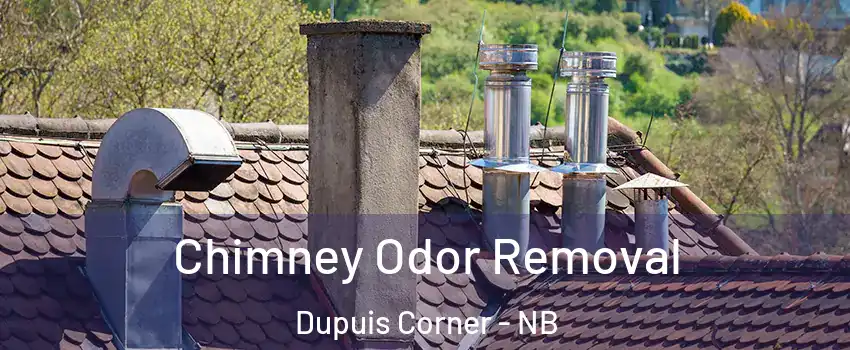  Chimney Odor Removal Dupuis Corner - NB
