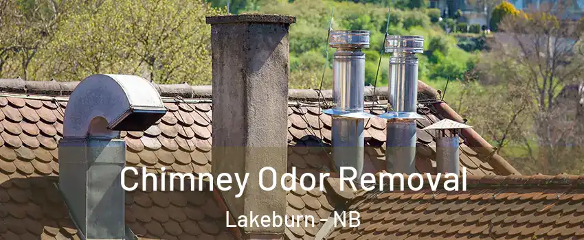  Chimney Odor Removal Lakeburn - NB