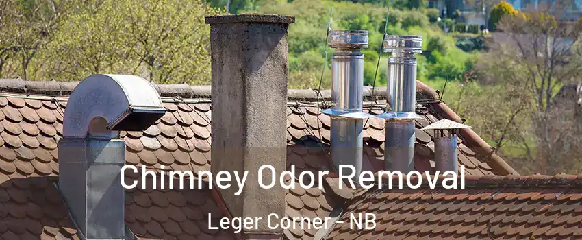  Chimney Odor Removal Leger Corner - NB
