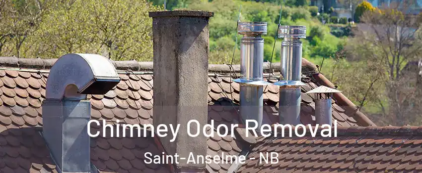  Chimney Odor Removal Saint-Anselme - NB