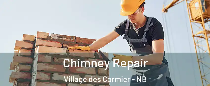  Chimney Repair Village des Cormier - NB