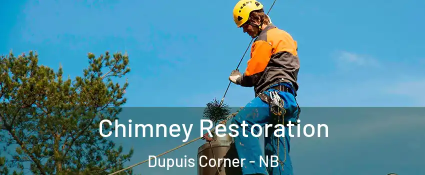  Chimney Restoration Dupuis Corner - NB