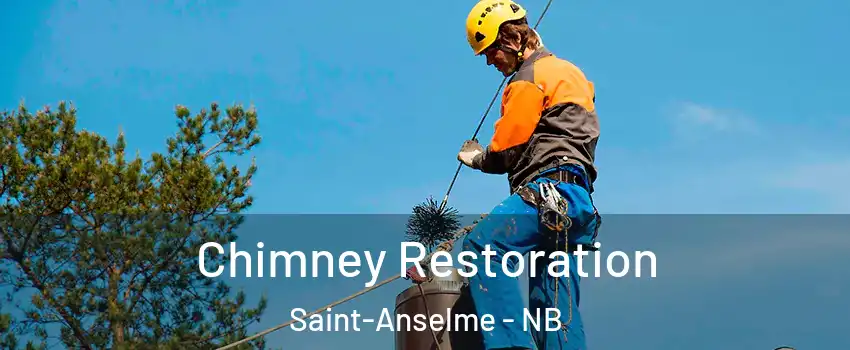 Chimney Restoration Saint-Anselme - NB