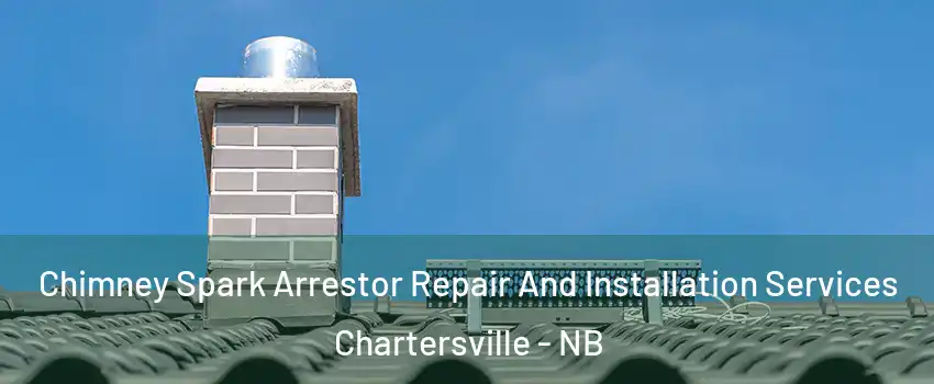  Chimney Spark Arrestor Repair And Installation Services Chartersville - NB