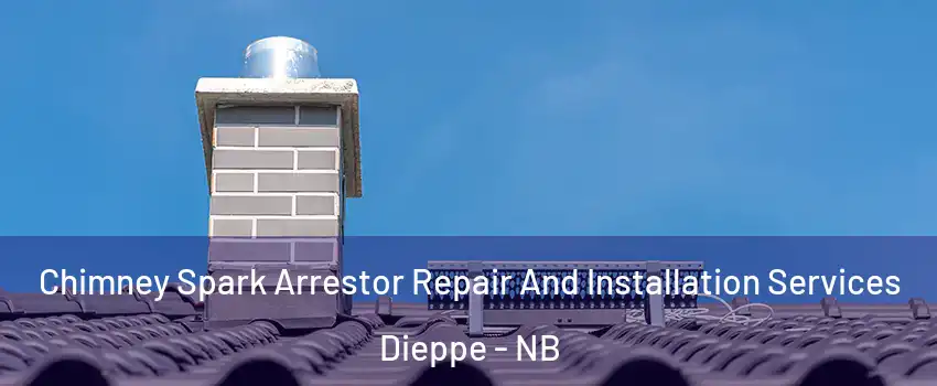  Chimney Spark Arrestor Repair And Installation Services Dieppe - NB