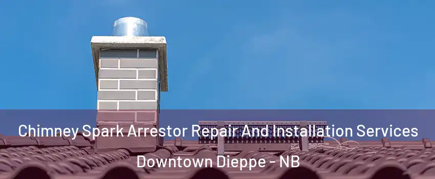  Chimney Spark Arrestor Repair And Installation Services Downtown Dieppe - NB