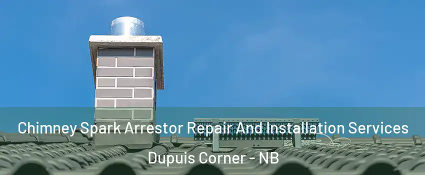  Chimney Spark Arrestor Repair And Installation Services Dupuis Corner - NB