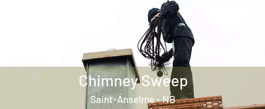  Chimney Sweep Saint-Anselme - NB
