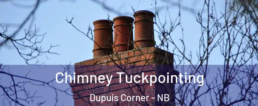  Chimney Tuckpointing Dupuis Corner - NB