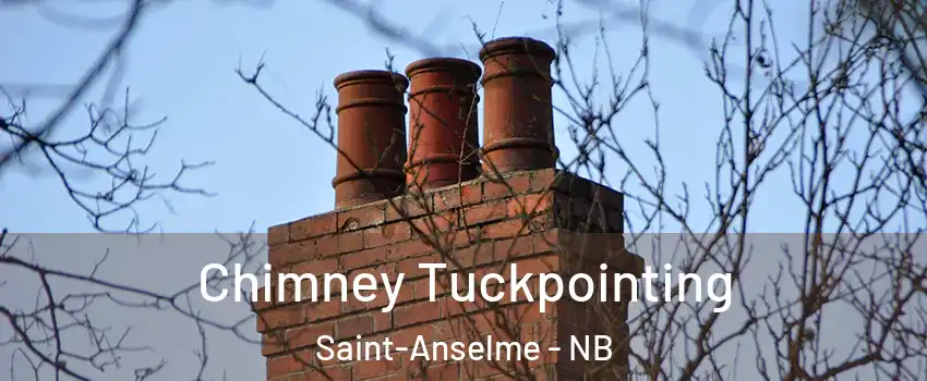  Chimney Tuckpointing Saint-Anselme - NB