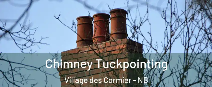  Chimney Tuckpointing Village des Cormier - NB