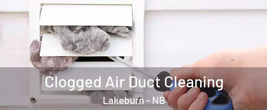  Clogged Air Duct Cleaning Lakeburn - NB