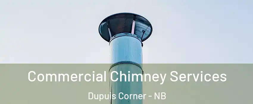  Commercial Chimney Services Dupuis Corner - NB