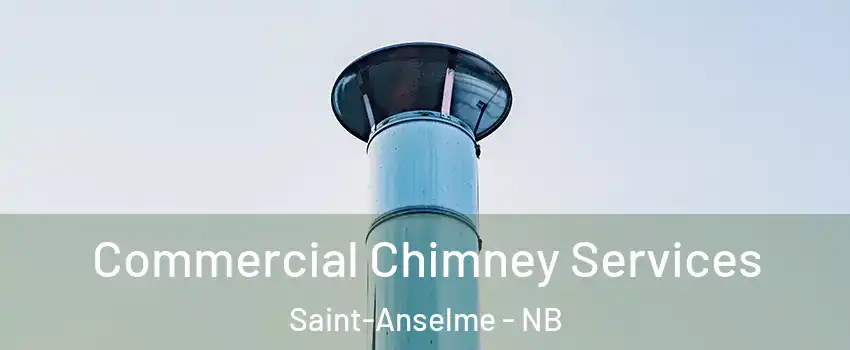  Commercial Chimney Services Saint-Anselme - NB
