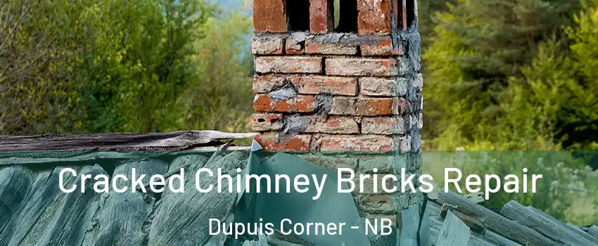  Cracked Chimney Bricks Repair Dupuis Corner - NB