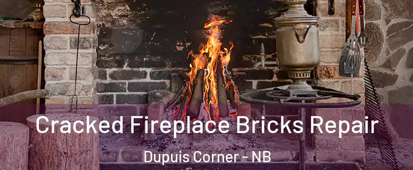  Cracked Fireplace Bricks Repair Dupuis Corner - NB