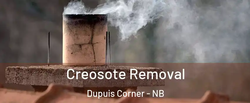  Creosote Removal Dupuis Corner - NB